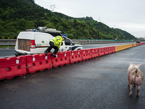 湖南省高速公路总局水马防撞桶采购项目